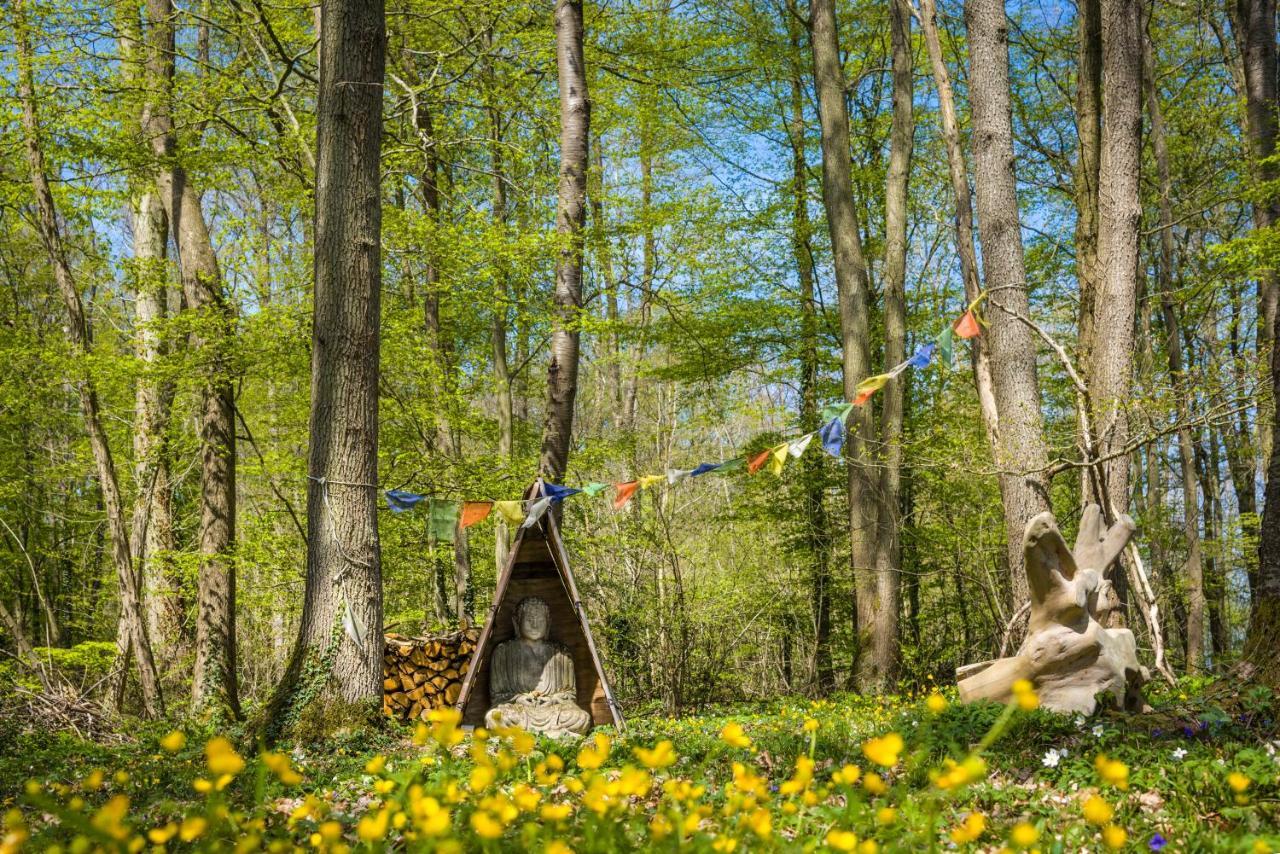 Gites Du Bois Des Perruches Saint-Vincent-des-Bois Екстериор снимка